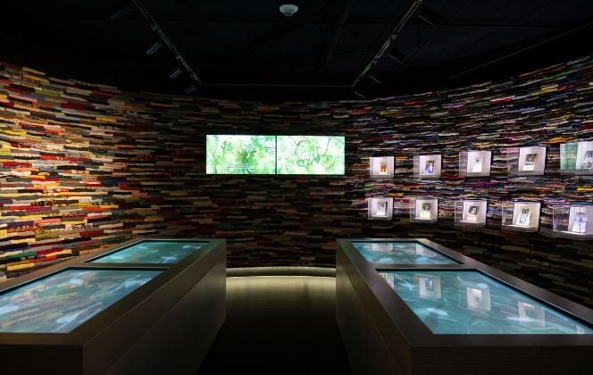card-wide-anne-exhibit-3